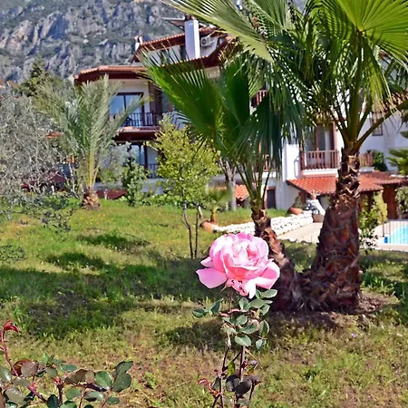 Palmiye Apart/Otel Ξενοδοχείο με διαμερίσματα Akyaka (Mugla)