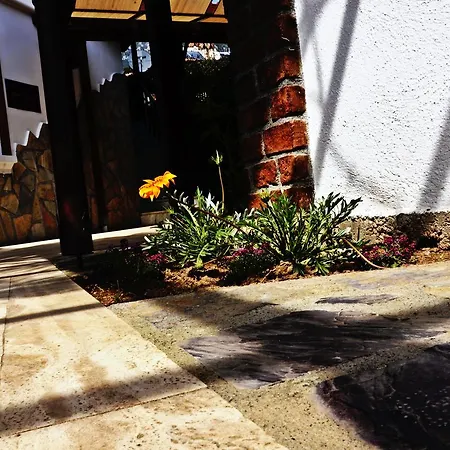 Palmiye Apart/Otel Ξενοδοχείο με διαμερίσματα