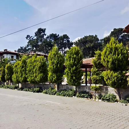 Palmiye Apart/Otel Ξενοδοχείο με διαμερίσματα