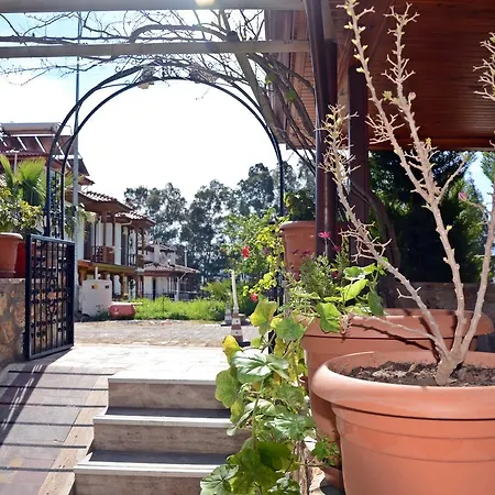 Ξενοδοχείο με διαμερίσματα Palmiye Apart/Otel Akyaka (Mugla)