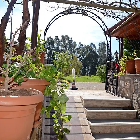 Ξενοδοχείο με διαμερίσματα Palmiye Apart/Otel