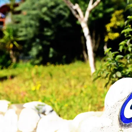 Ξενοδοχείο με διαμερίσματα Palmiye Apart/Otel Akyaka (Mugla)