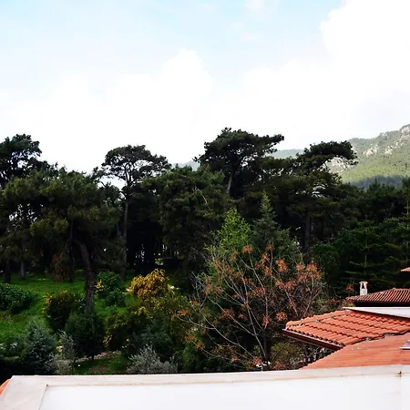 Palmiye Apart/Otel Ξενοδοχείο με διαμερίσματα *